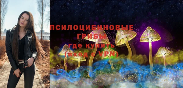 a pvp Надым