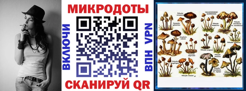 Галлюциногенные грибы Psilocybine cubensis  Купить  Минеральные Воды 